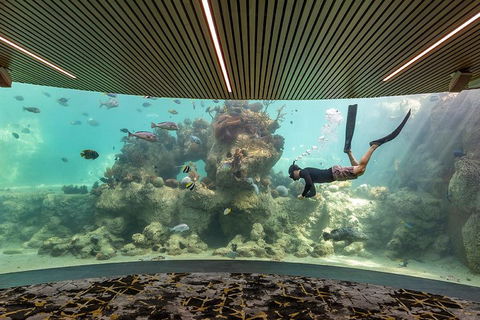 Whitehaven Beach And Daydream Island Cruise - Accommodation Noosa 4