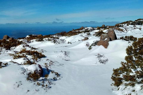 Mount Wellington Ultimate Experience Tour From Hobart - Accommodation Noosa 1