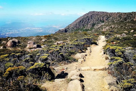 Mount Wellington Ultimate Experience Tour From Hobart - Accommodation Noosa 5