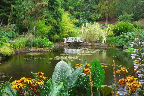 Hobart City Sightseeing Tour Including MONA Admission - Accommodation Noosa 3