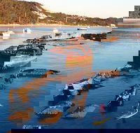 Adventure Moreton Island Wrecks Adventure Package - Accommodation Noosa