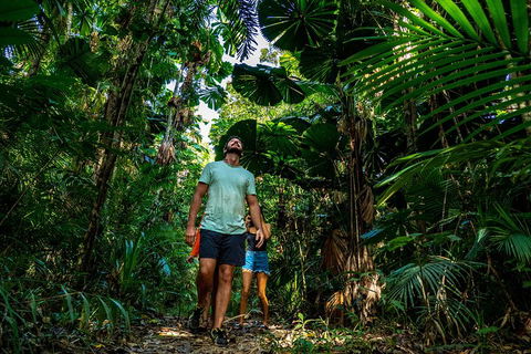 Full Day Daintree Rainforest And Mossman Gorge Tour - Accommodation Noosa 0
