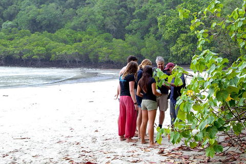 Full Day Daintree Rainforest And Mossman Gorge Tour - Accommodation Noosa 2
