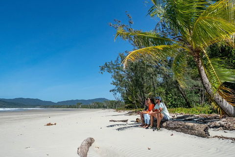 Full Day Daintree Rainforest And Mossman Gorge Tour - Accommodation Noosa 4