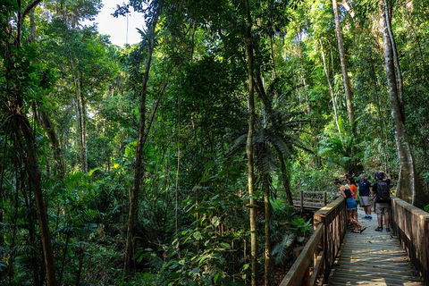 Full Day Daintree Rainforest And Mossman Gorge Tour - Accommodation Noosa 5
