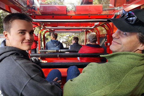 Fully Inclusive Blue Mountains Private Tour Inc Scenic World & Featherdale Entry - Accommodation Noosa 1