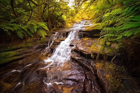 Fully Inclusive Blue Mountains Private Tour Inc Scenic World & Featherdale Entry - Accommodation Noosa 3