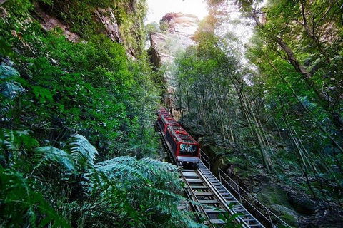 Fully Inclusive Blue Mountains Private Tour Inc Scenic World & Featherdale Entry - Accommodation Noosa 4