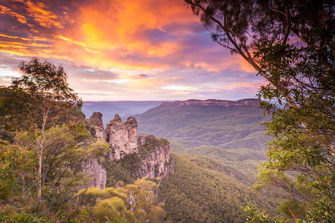 Fully Inclusive Blue Mountains Private Tour Inc Scenic World & Featherdale Entry - Accommodation Noosa 5