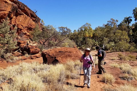 Palm Valley And Hermannsburg 1 Day 4WD Tour - Accommodation Noosa 1