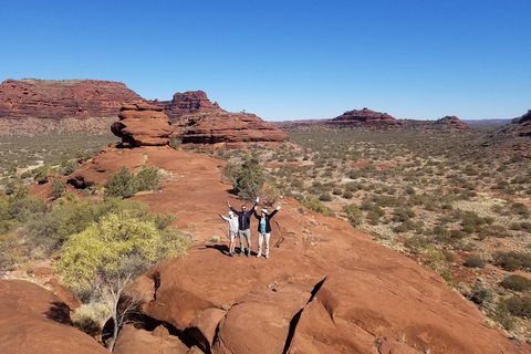 Palm Valley And Hermannsburg 1 Day 4WD Tour - Accommodation Noosa 3