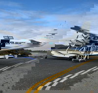 Full Day Tour by Seaplane to Rottnest Island Small Group Trip - Accommodation Noosa
