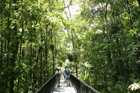Daintree Dreaming Traditional Aboriginal Fishing From Cairns Or Port Douglas - Accommodation Noosa 3
