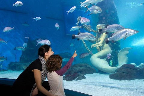 SEA LIFE Melbourne Aquarium Admission Ticket - Accommodation Noosa 4