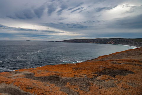 Kangaroo Island Luxury Small Group 'Flinders Chase Focus' Full Day Tour - Accommodation Noosa 0
