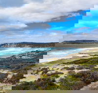 Kangaroo Island Luxury Small Group 'East End Explorer' Full Day Tour - Accommodation Noosa