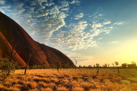 Highlights Of Uluru Including Sunrise And Breakfast - Accommodation Noosa 0