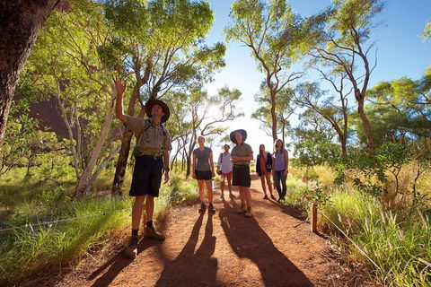 Uluru Small Group Tour Including Sunset - Accommodation Noosa 0