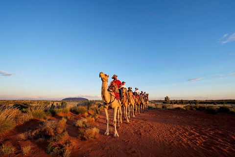 Uluru Small-Group Tour By Camel At Sunrise Or Sunset - Accommodation Noosa 3