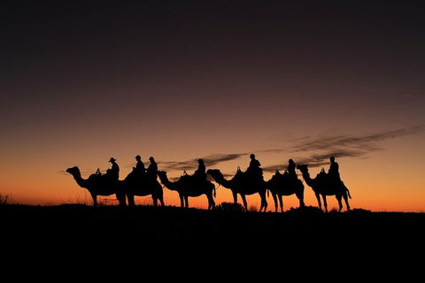 Uluru Small-Group Tour By Camel At Sunrise Or Sunset - Accommodation Noosa 4