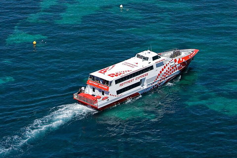 Discover Rottnest With Ferry & Bus Tour From Perth Or Fremantle - Accommodation Noosa 3