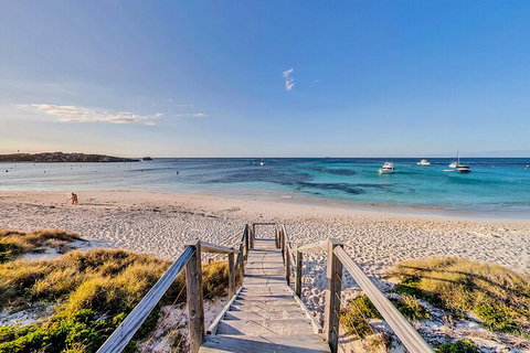 Discover Rottnest With Ferry & Bus Tour From Perth Or Fremantle - Accommodation Noosa 4