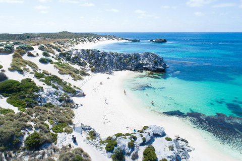 Discover Rottnest With Ferry & Bus Tour From Perth Or Fremantle - Accommodation Noosa 5