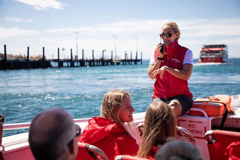 Adventure Rottnest Tour With Ferry & Adventure Cruise From Perth Or Fremantle - Accommodation Noosa 4