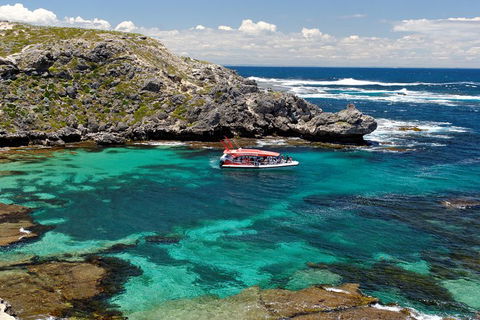 Adventure Rottnest Tour With Ferry & Adventure Cruise From Perth Or Fremantle - Accommodation Noosa 5
