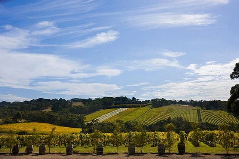 Melbourne Super Saver: Great Ocean Road + Mornington Peninsula + Attraction Pass - Accommodation Noosa 5