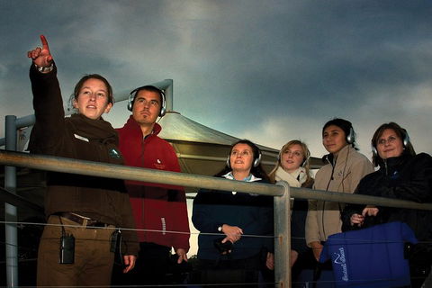Phillip Island Penguin Parade Express Tour From Melbourne - Accommodation Noosa 1