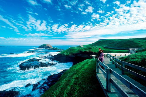 Phillip Island Penguin Parade Express Tour From Melbourne - Accommodation Noosa 4