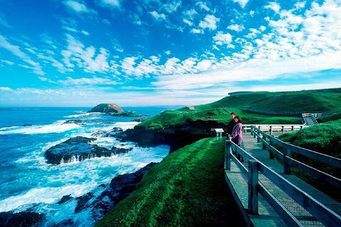 Puffing Billy, Moonlit Sanctuary & Penguins Day Tour - Accommodation Noosa 2