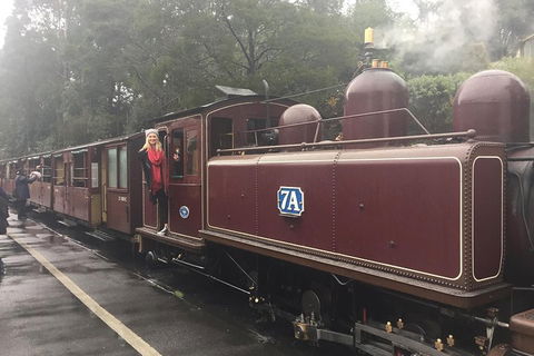 Puffing Billy, Moonlit Sanctuary & Penguins Day Tour - Accommodation Noosa 4