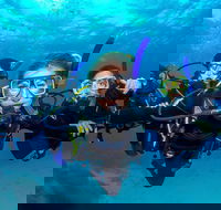 Great Barrier Reef Diving and Snorkeling Cruise from Cairns - Accommodation Noosa