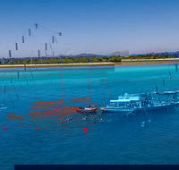 Ocean Free Green Island  Great Barrier Reef Snorkel Cruise Cairns 25 guests - Accommodation Noosa