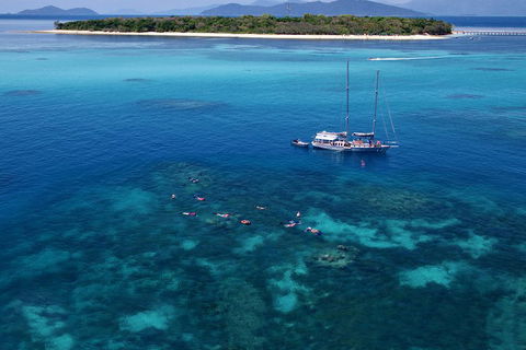 Ocean Free Green Island & Great Barrier Reef Snorkel Cruise, Cairns 25 Guests - Accommodation Noosa 2
