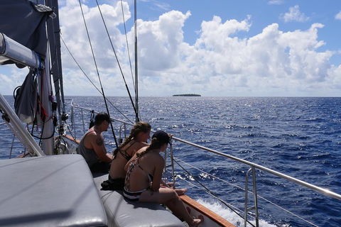 Ocean Free Green Island & Great Barrier Reef Snorkel Cruise, Cairns 25 Guests - Accommodation Noosa 4