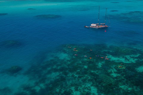 Ocean Free Green Island & Great Barrier Reef Snorkel Cruise, Cairns 25 Guests - Accommodation Noosa 5