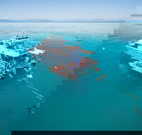 Ocean Freedom Great Barrier Reef Personal Luxury Snorkel  Dive Cruise Cairns - Accommodation Noosa