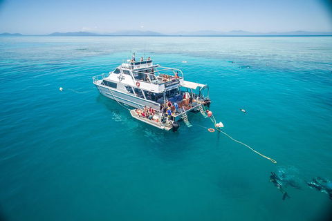 Ocean Freedom Great Barrier Reef Personal Luxury Snorkel & Dive Cruise, Cairns - Accommodation Noosa 0