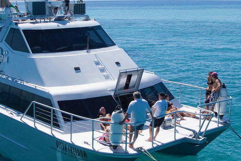 Ocean Freedom Great Barrier Reef Personal Luxury Snorkel & Dive Cruise, Cairns - Accommodation Noosa 1