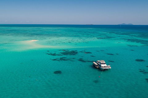 Ocean Freedom Great Barrier Reef Personal Luxury Snorkel & Dive Cruise, Cairns - Accommodation Noosa 2