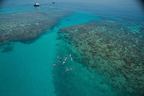 Ocean Freedom Great Barrier Reef Personal Luxury Snorkel & Dive Cruise, Cairns - Accommodation Noosa 3