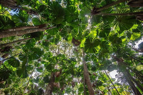 5 Day Australia Retreat: Queensland Daintree - Accommodation Noosa 2