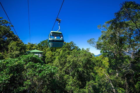 Classic Kuranda By Skyrail And Scenic Railway Including Rainforestation, Koala And Wildlife Park And Pamagirri Aboriginal Experi - Accommodation Noosa 0