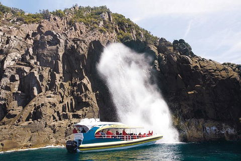 Full-Day Bruny Island Cruises Day Tour From Hobart - Accommodation Noosa 4