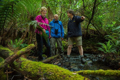 Bruny Island Traveller - Gourmet Tasting And Sightseeing Day Trip From Hobart - Accommodation Noosa 1