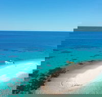 Ocean Safari Great Barrier Reef Experience in Cape Tribulation - Accommodation Noosa