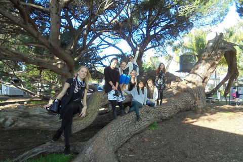 1/2 Day Swan Valley Wine Cheese & Chocolate Tour Inc Afternoon Cruise To Perth - Accommodation Noosa 0